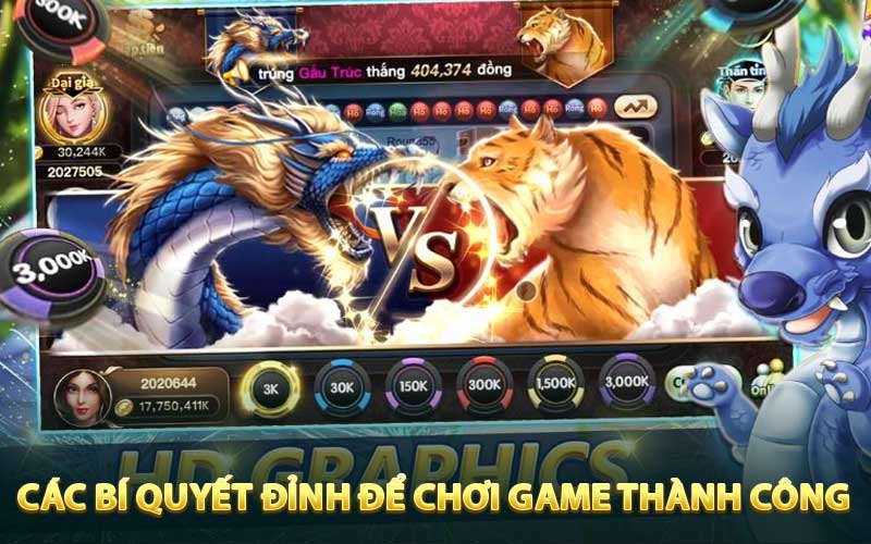 Các bí quyết đỉnh để chơi rổng hổ thành công