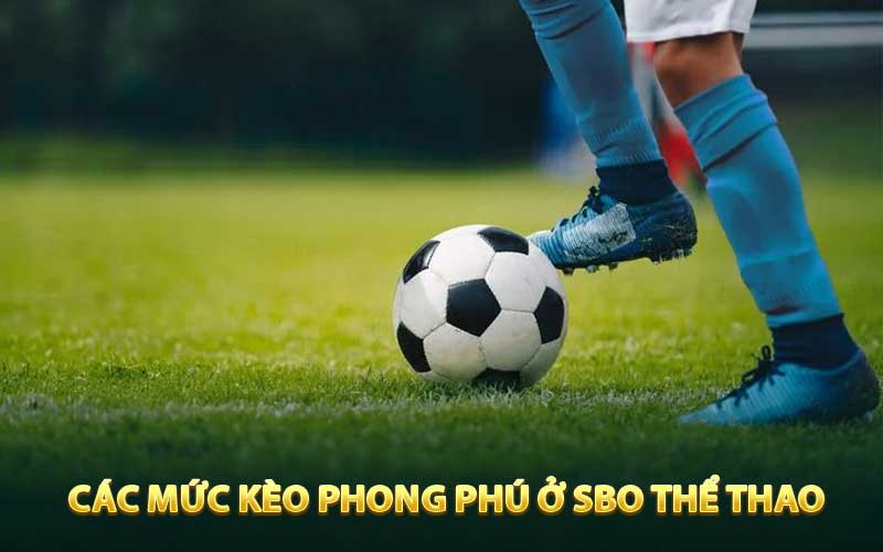 Các mức kèo phong phú ở SBO thể thao FM88